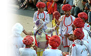 Jaipur Cultural Tour India