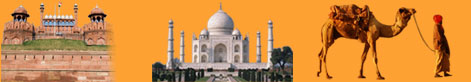 Most Popular Tourist Circuit in India